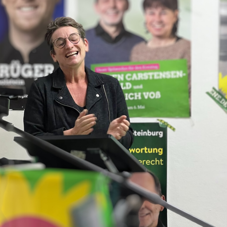 Pressemitteilung: Grüne Steinburg fordern Unterstützung für Elbfähren