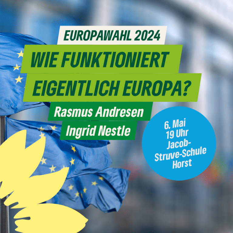 EUROPAWAHL 2024: Wie funktioniert eigentlich Europa?
