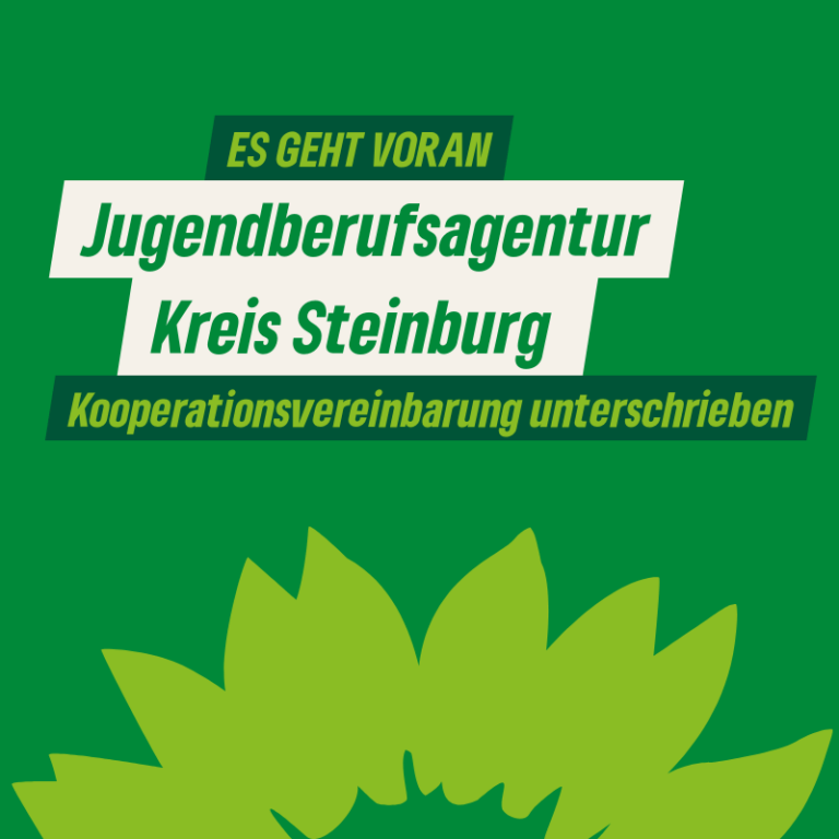 Jugendberufsagentur im Kreis Steinburg: Es geht voran!