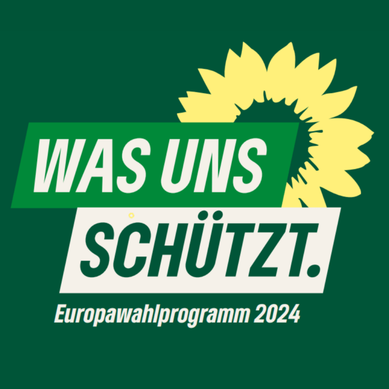 Europawahlprogramm 2024